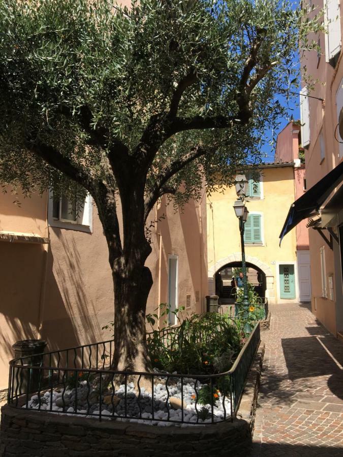 Bastide Du Levant サント・マキシム エクステリア 写真